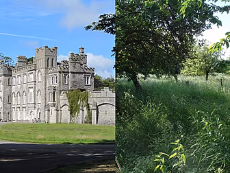 Why The Lord Of This Castle Is...