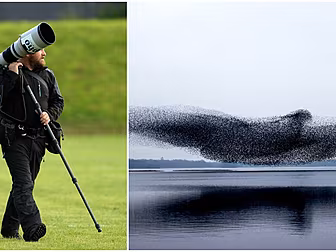 Top Irish Photographer Started...