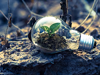 Lack Of State Action On Climat...
