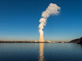 Last Word On The Environment:...