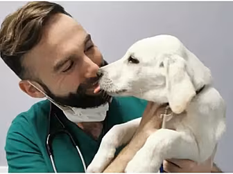 A Louth Vet Has Created A New...