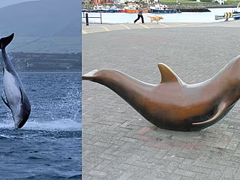 How Has Dingle's Coast Changed...
