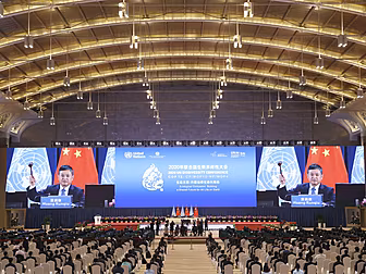 What Does The Kunming Declarat...