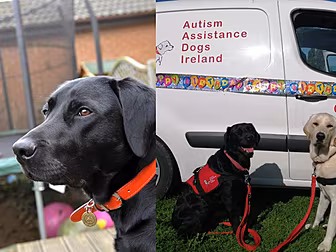 These Dogs Are Changing Thousa...