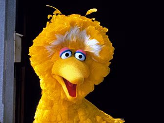 Is Big Bird A Muppet Or A Pupp...