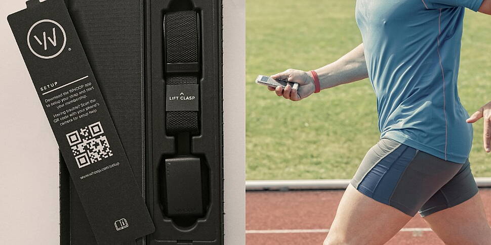 The Data This Fitness Tracker...