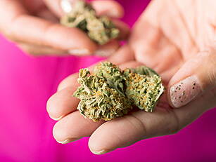 Bill On Cannabis Decriminalisa...