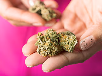 Bill On Cannabis Decriminalisa...