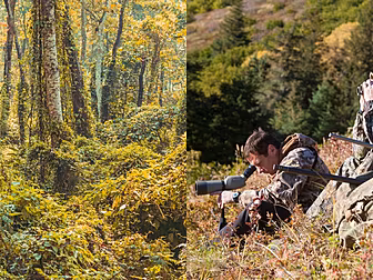 Celebrities Being Hunted In Th...