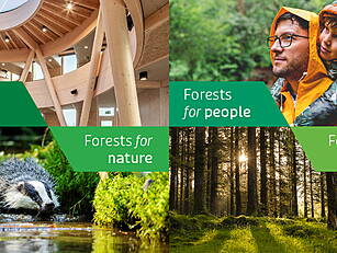 Win A Family Adventure Among T...