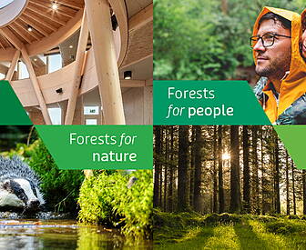 Win A Family Adventure Among T...