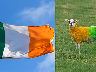 What The Republic Of Ireland I...