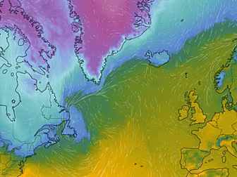 Met Éireann Team Up With UCD O...
