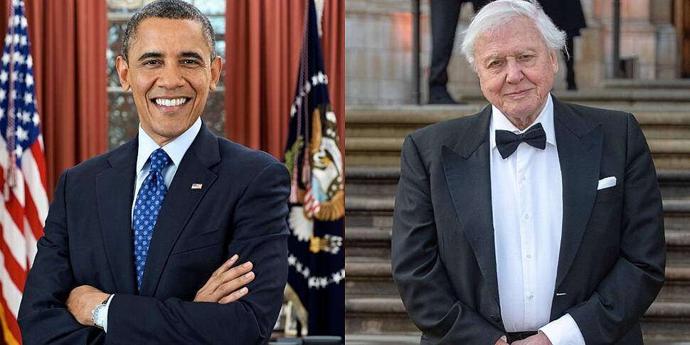 Is Barrack Obama The New David...