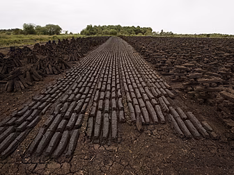 Opponents Of Turf Cutting 'Not...