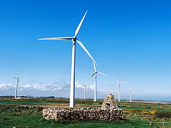 34% Of Electricity Generated B...