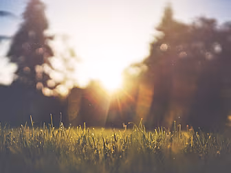 Temperatures To Reach 24 Degre...
