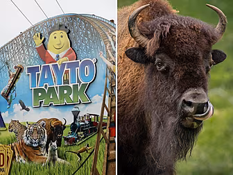 Tayto Park Has A New Name...An...