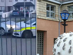 Six Homes Searched As Part Of...