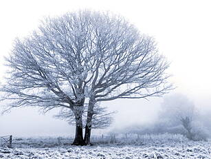Coldest Night Of The Year Pred...