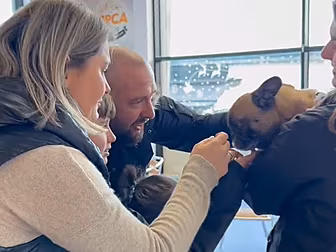 DSPCA Emphasises Importance Of...