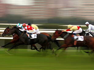 Win A Trip To Cheltenham By Be...