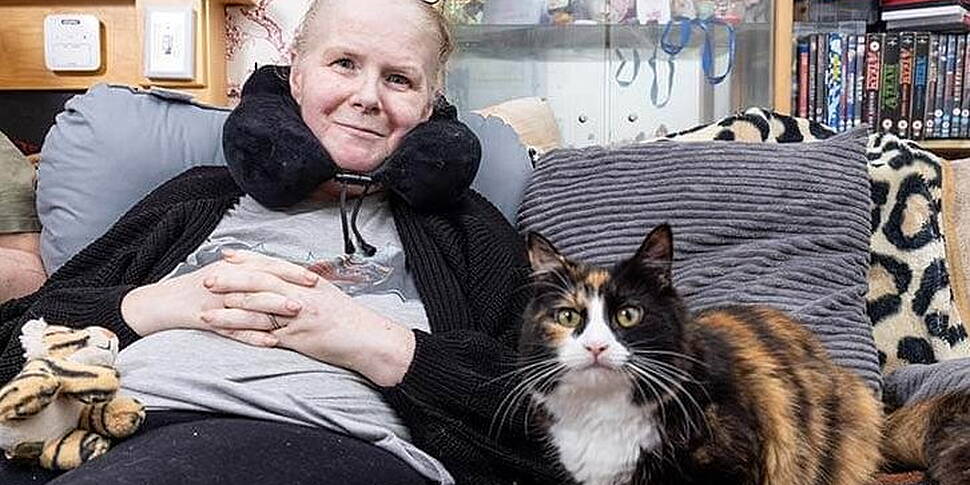 Cat Who Saved Owner's Life Nom...