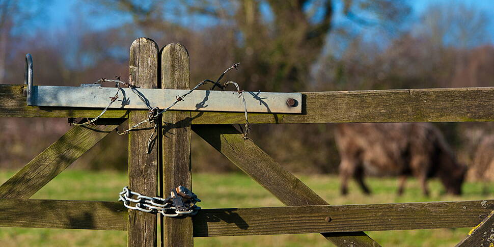 55% Of Farmers Have Been Victi...