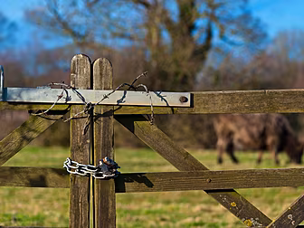 55% Of Farmers Have Been Victi...