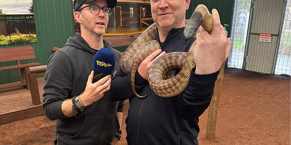 Forget Britney! Our Dave Has H...