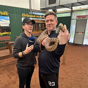 Forget Britney! Our Dave Has H...