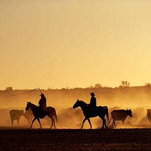 This Australian Ranch Is Bigge...