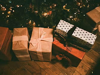 The 12 Dave's Of Christmas: Wi...