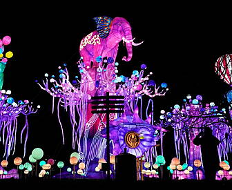 Put Wild Lights 2023 At The To...