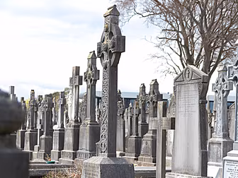 Over 380 Irish People Died Ove...