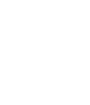 Leapmotor