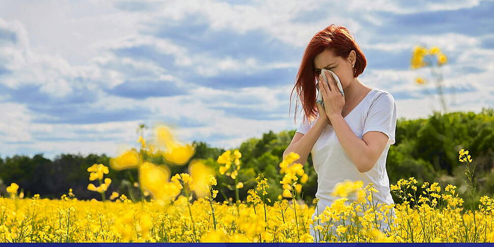 Advice On Managing Hay Fever A...