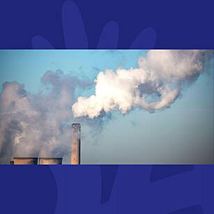 The Last Word on Environment:...