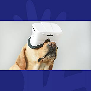 Tech Thursday: Can AI Translat...