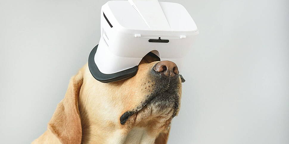 Tech Thursday: Can AI Translat...