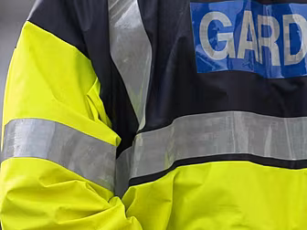 Two Bodies Discovered In Dubli...