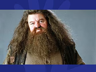 Sorry...Who Is Playing Hagrid...