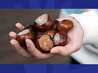 Nuts Shrinking is Threatening...