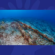 Under Sea Cables: The Battle F...